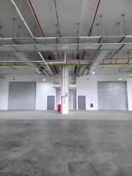Ct Foodnex (D25), Factory #497908361